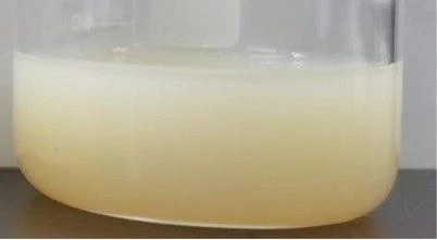 HSF Liposomal Vitamin C