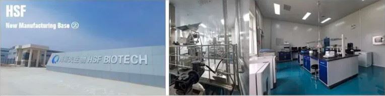 factory factory