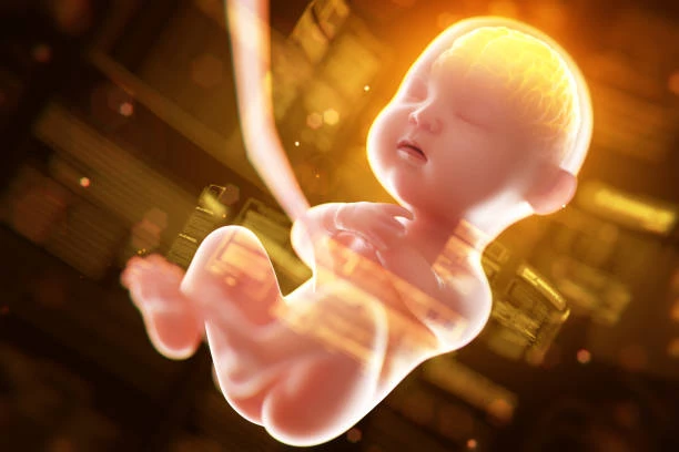 baby intelligence development baby intelligence development