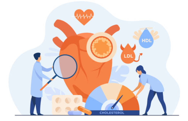 info-898-578 info-898-578