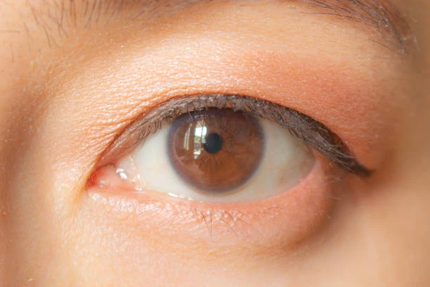 info-612-408 info-612-408