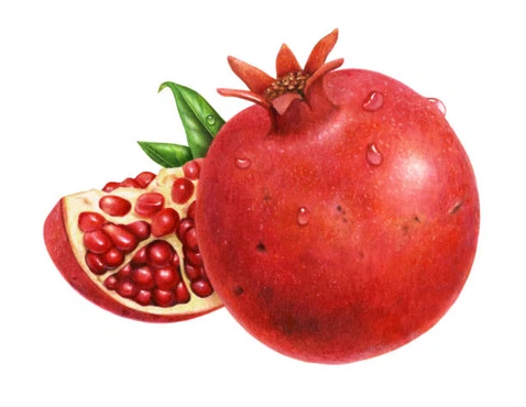 istockphoto-1297972642-612x612 istockphoto-1297972642-612x612