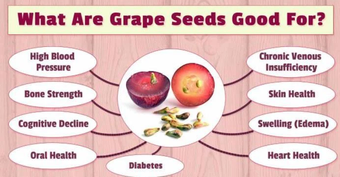 Grape Seed Extract Powder